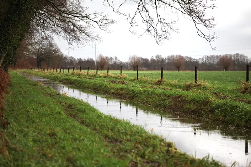 Kabinet trekt wetsvoorstel gewasbescherming in