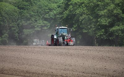 Regeerprogramma kabinet-Schoof biedt perspectief voor akkerbouwers