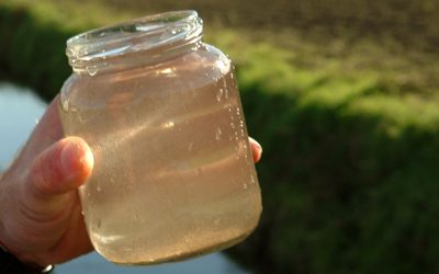 Waterschap vindt schadelijke stof in sloot in glastuinbouwgebied